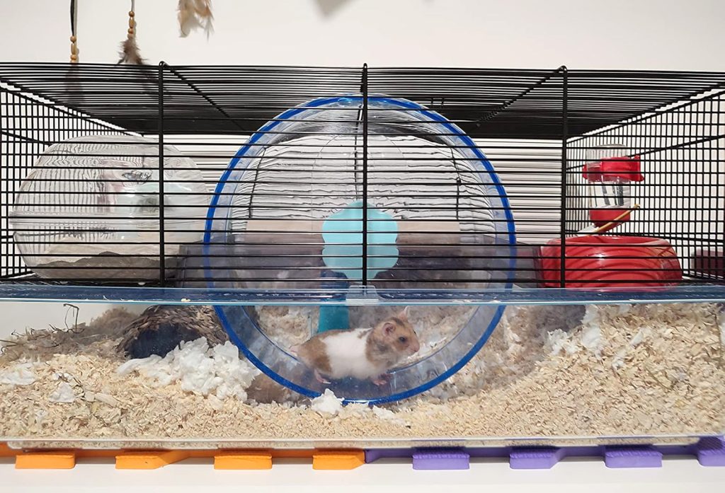 Ejemplo de jaula para jerbos con sustrato profundo y rueda de gran diámetro, permitiendo excavación natural y uso correcto del espacio