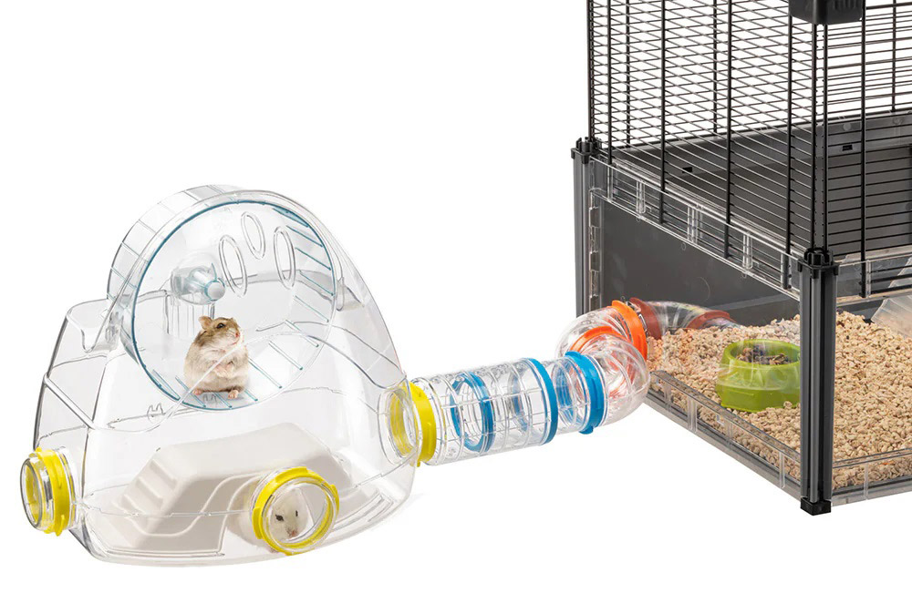 Módulo externo conectado con túneles a una jaula múltipla para jerbos, ampliando el espacio de exploración con una rueda para hacer ejercicio