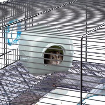 Jerbo utilizando la caseta incluida de serie en la jaula Ferplast Favola, situada en la zona superior metálica